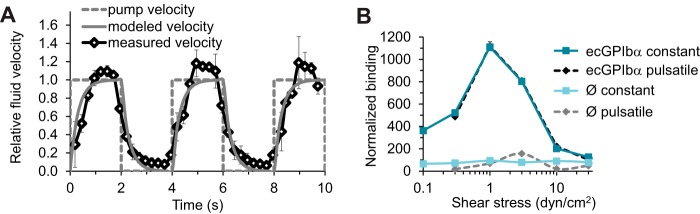 FIG 5