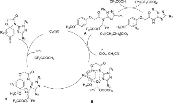 Scheme 2