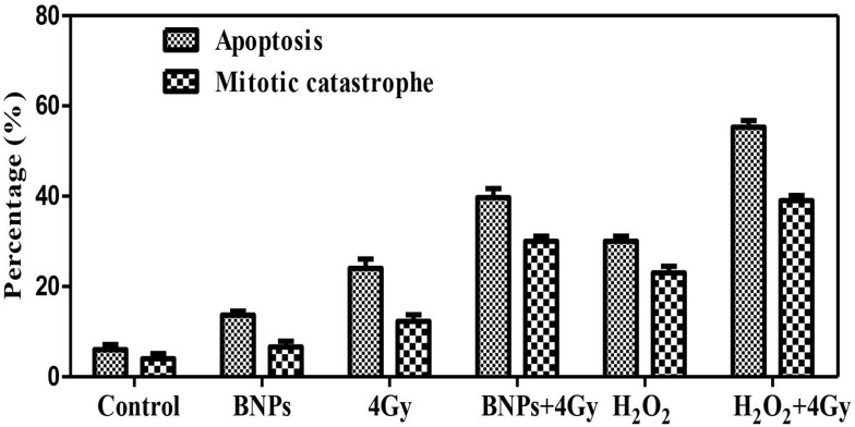 Figure 12