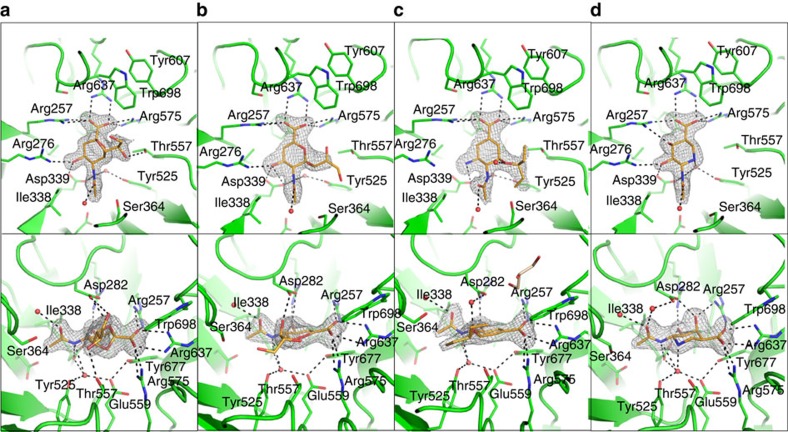 Figure 5