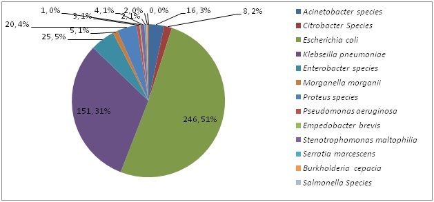 [Table/Fig-2]: