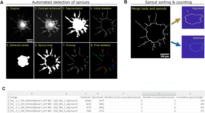 FIGURE 2