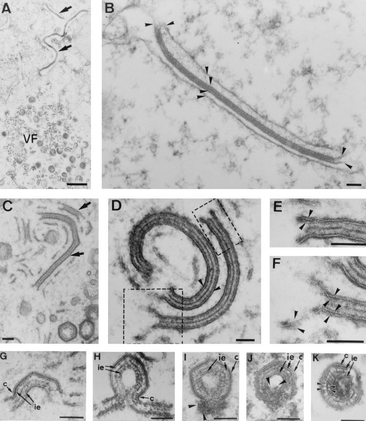 FIG. 6