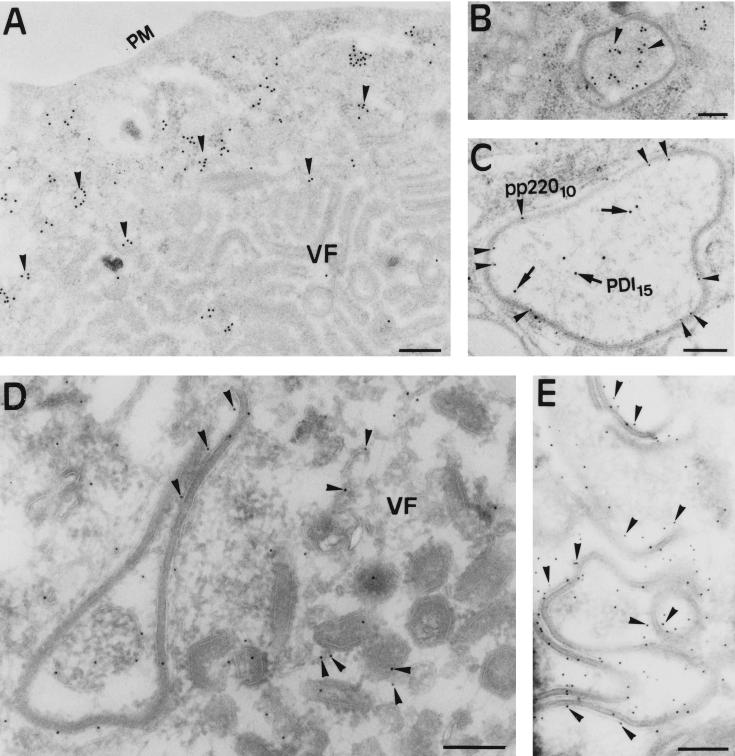 FIG. 7