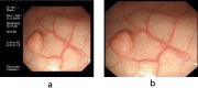 Fig. 8