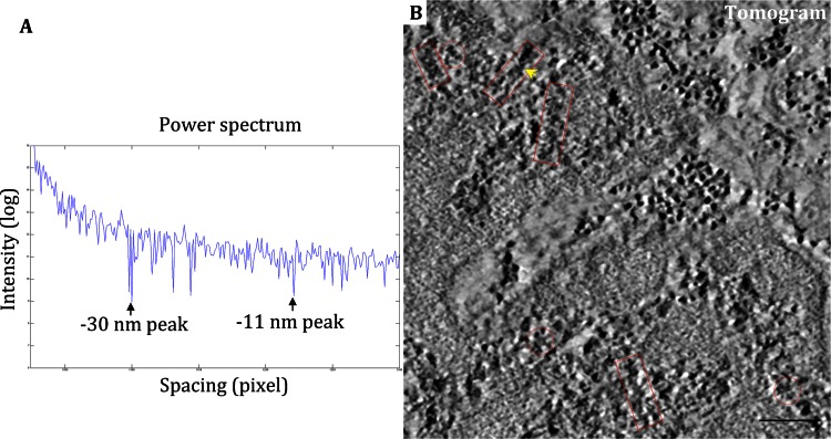 Fig. 3