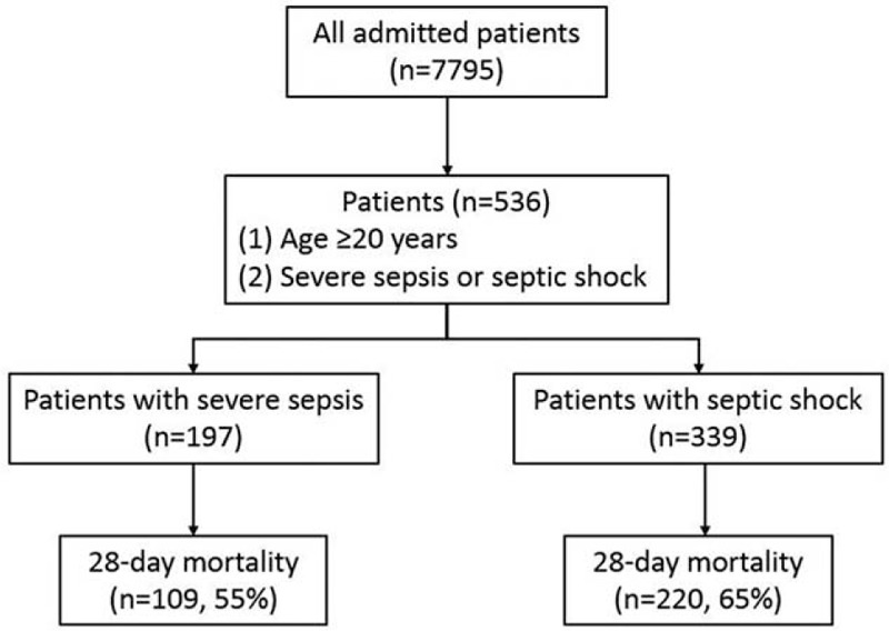 FIGURE 1