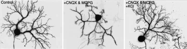 Fig. 8.