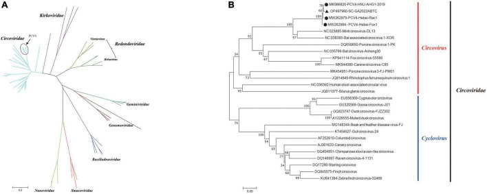 FIGURE 3