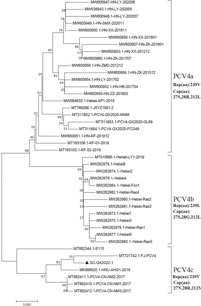 FIGURE 2