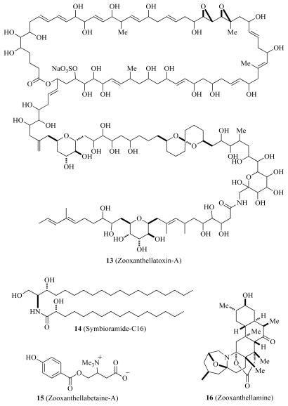 Scheme 2