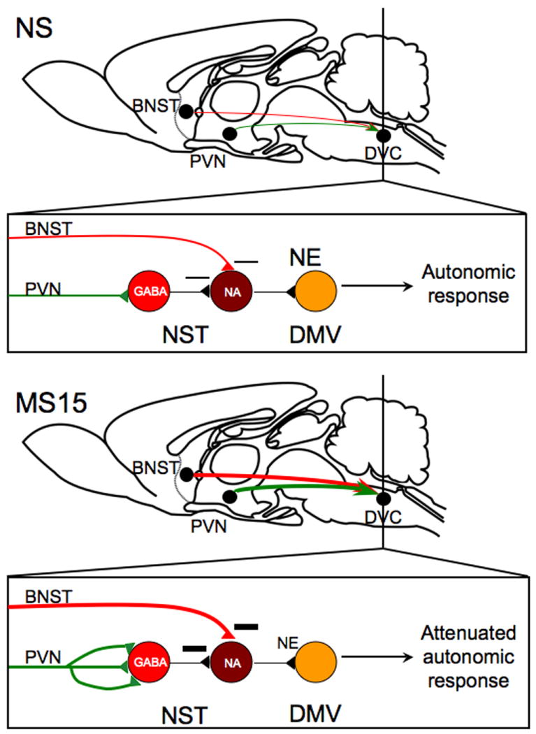 Fig. 11