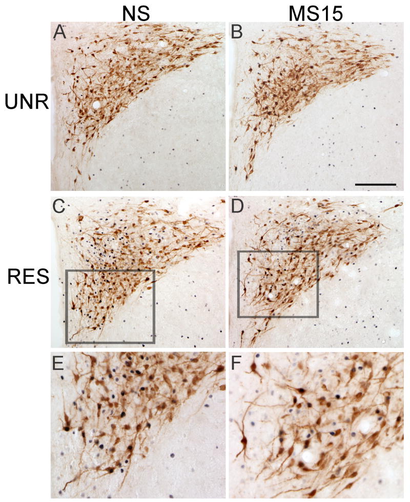 Fig. 8