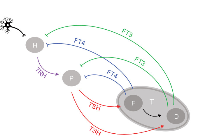 Figure 1