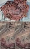 Fig 6