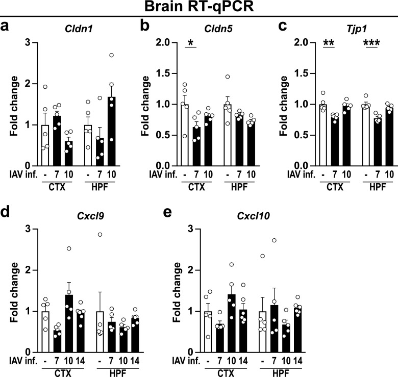 FIG 3