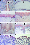 <b>FIG. 3.</b>