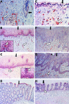 <b>FIG. 4.</b>