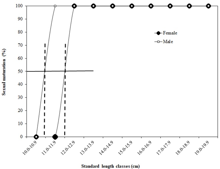 Fig. 9.
