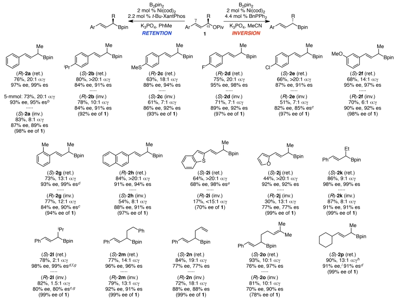 Scheme 2