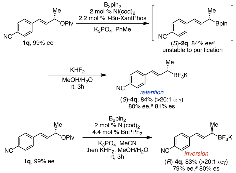 Scheme 4