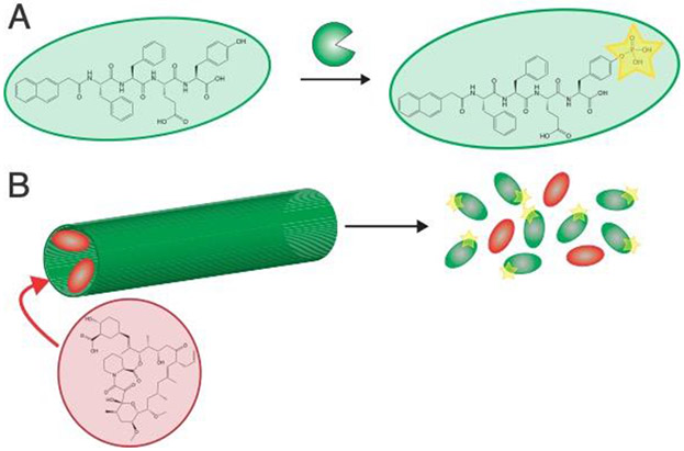 Figure 6: