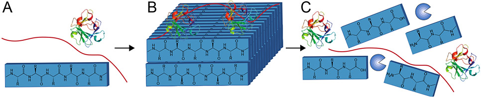 Figure 7: