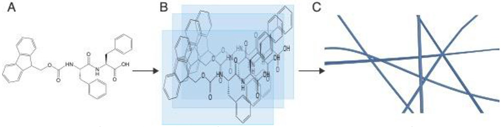 Figure 2: