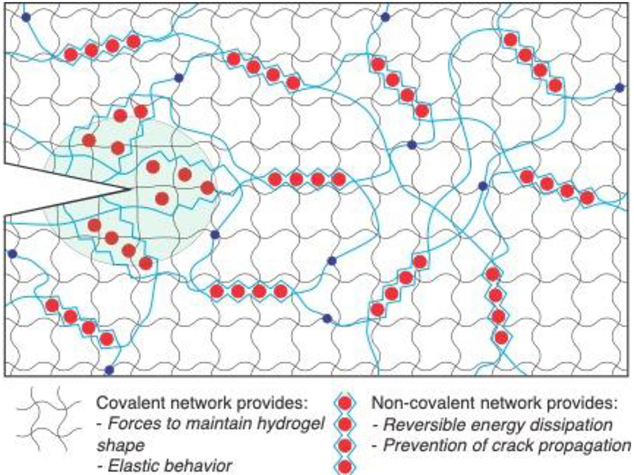 Figure 10: