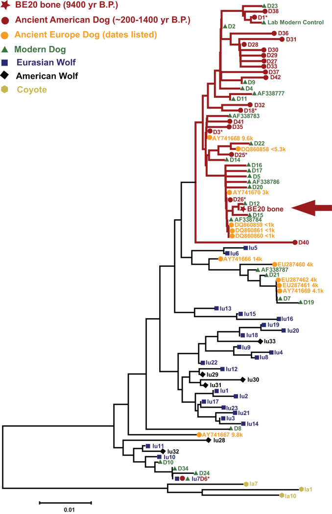 FIG. 1