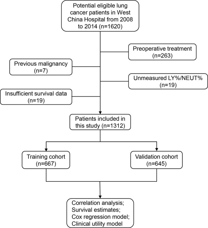 FIGURE 1