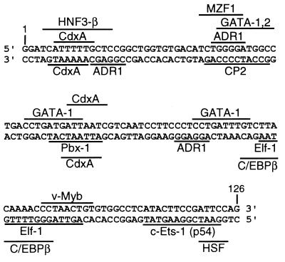 FIG. 5