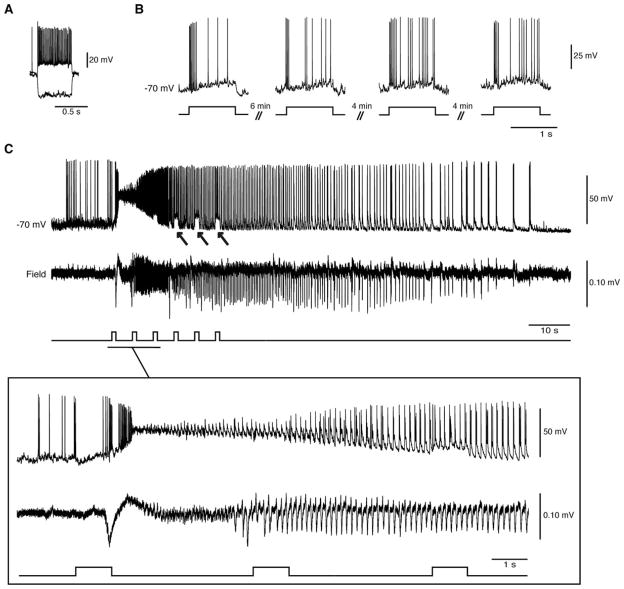 FIGURE 2