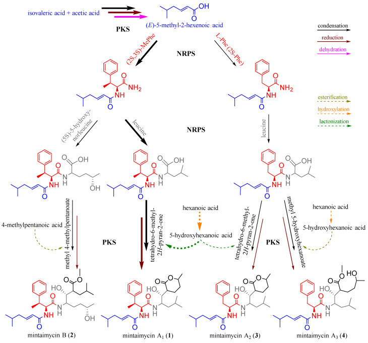 Figure 4