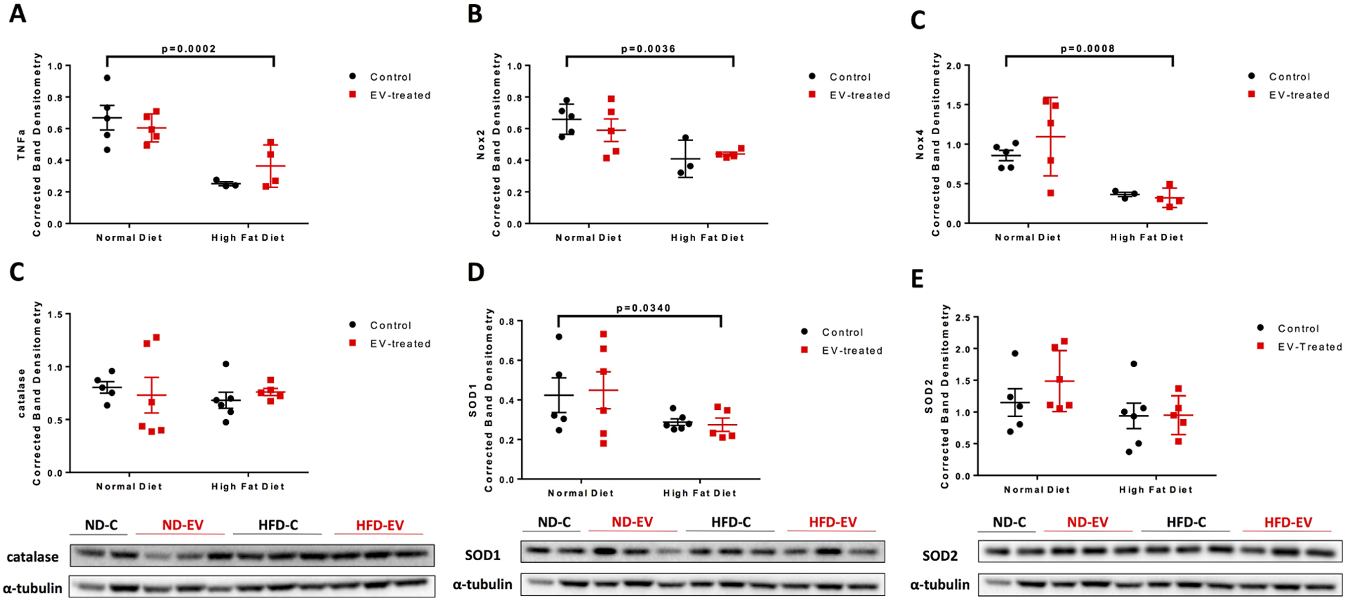 Figure 5: