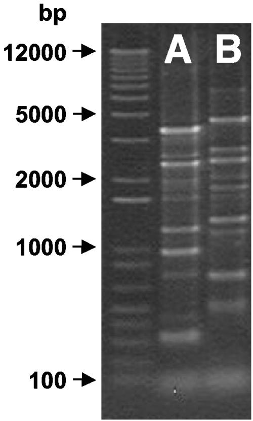 FIG. 6.