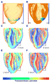 Fig. 8