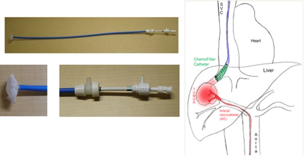 Fig. 2