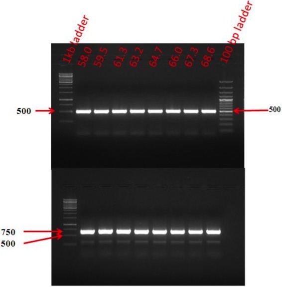 FIG 3