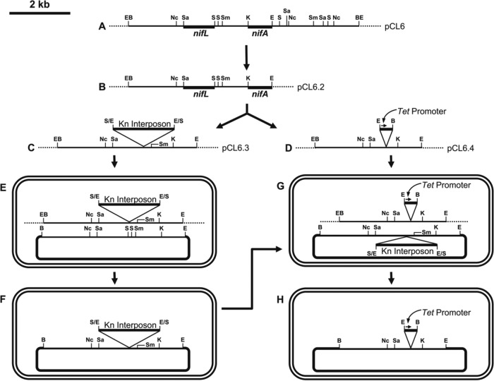 FIG 1