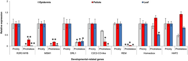 Figure 7