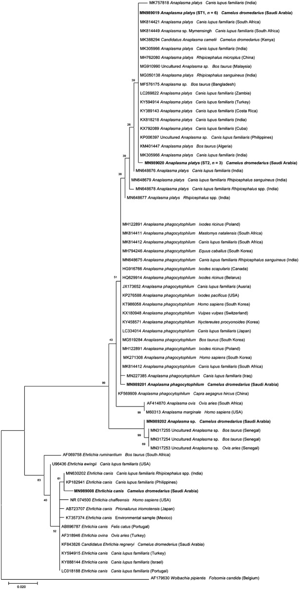 Fig. 2