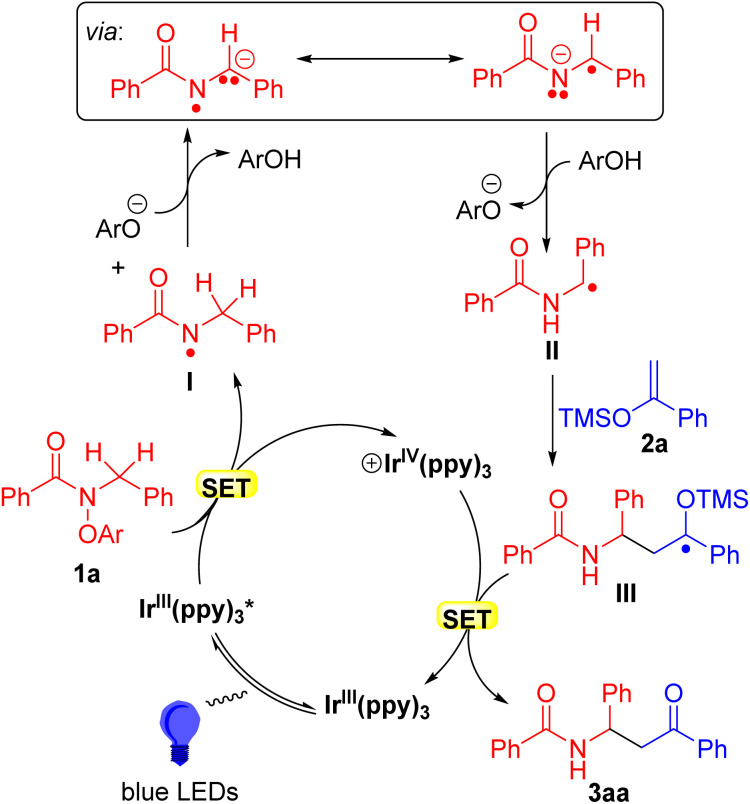 Scheme 8