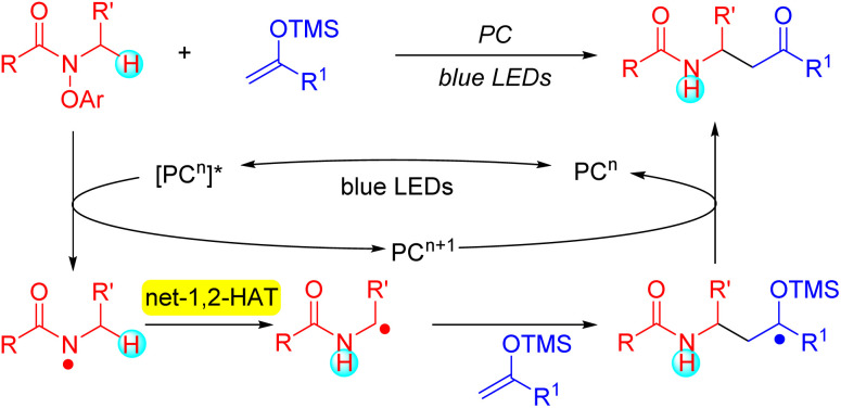 Scheme 3