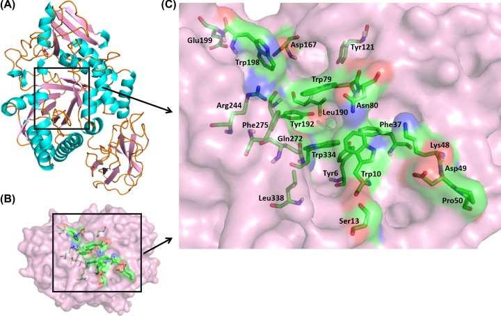 Figure 4