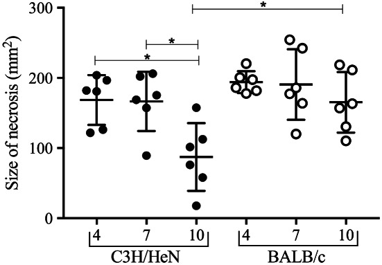 IWJ-12846-FIG-0004-b