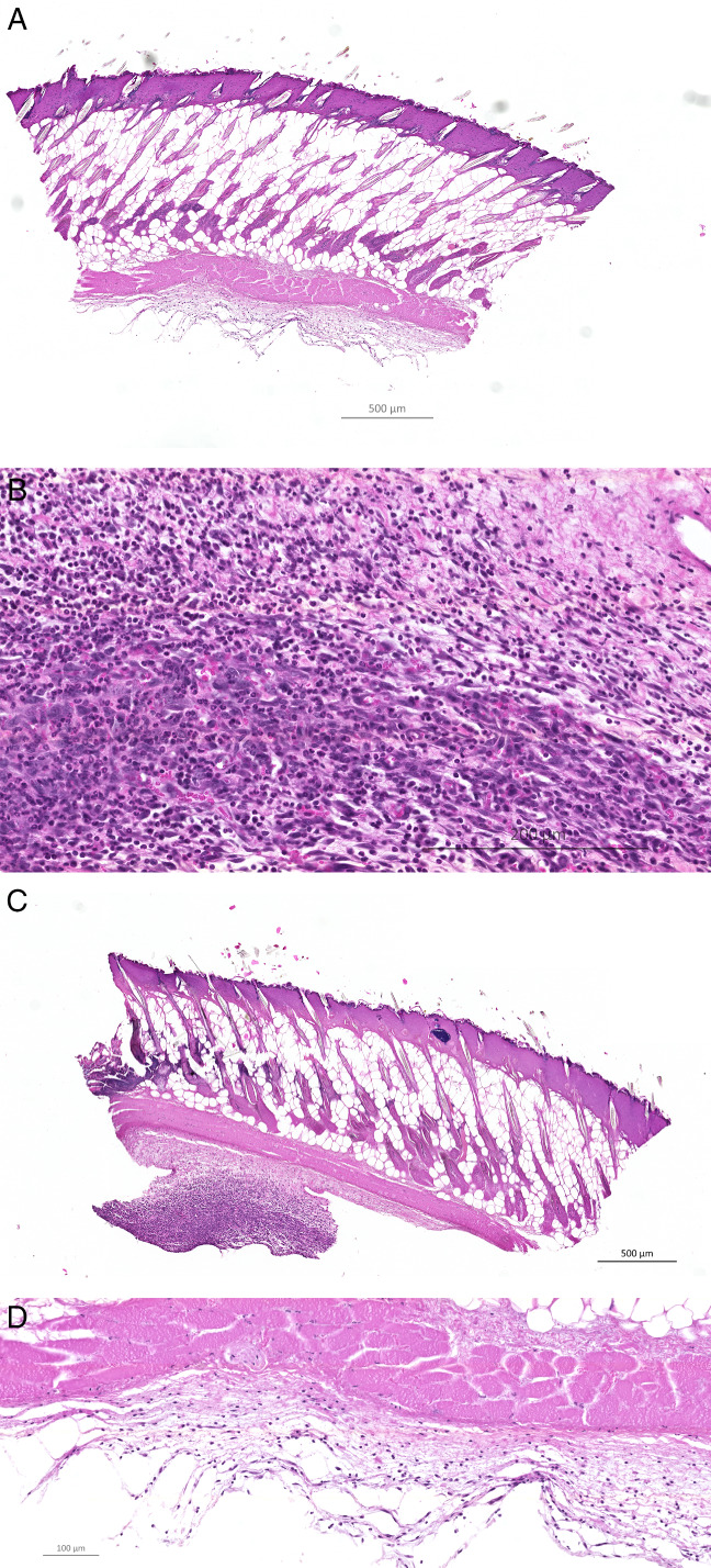 IWJ-12846-FIG-0002-c