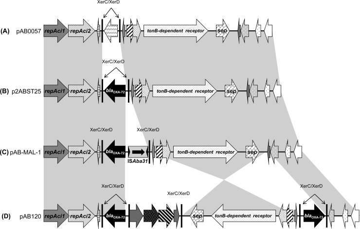 FIG 1