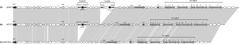 FIG 2