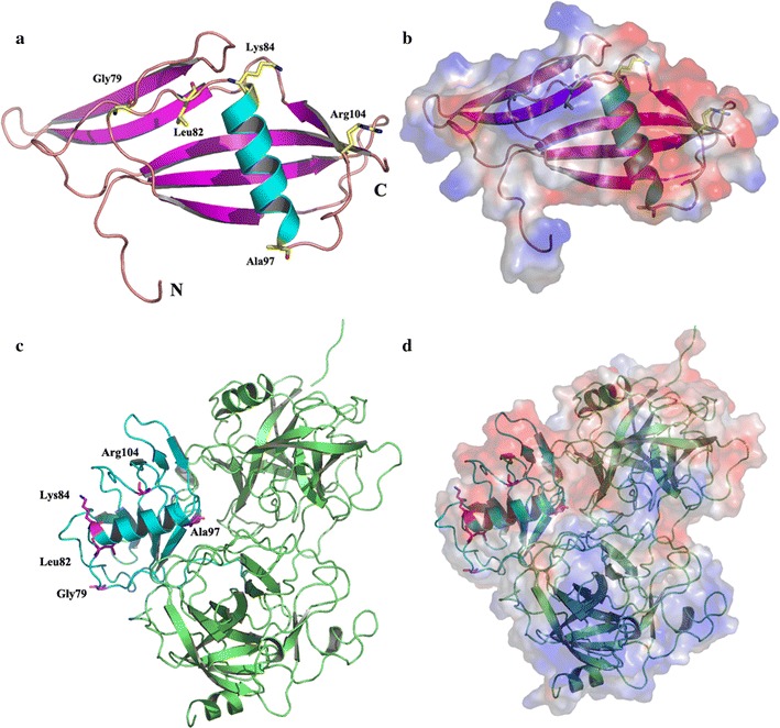 Fig. 1